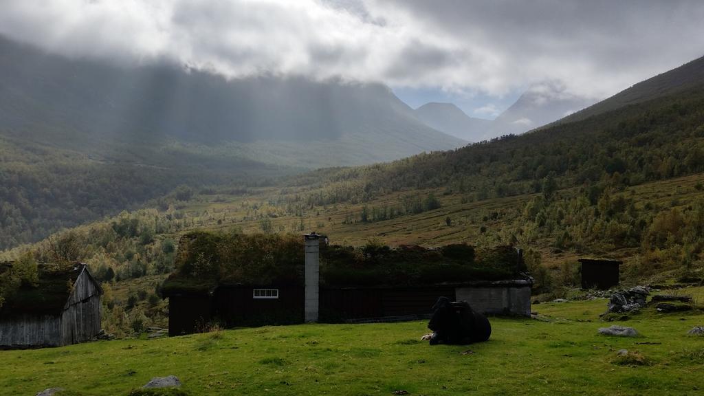 Petrines Gjestgiveri Norddal Esterno foto
